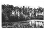 991091 Zelhem Gld 1970 Vennetje bij t Zand Gelopen met