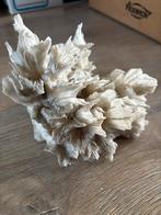 Wit calciet, Ophalen of Verzenden, Mineraal