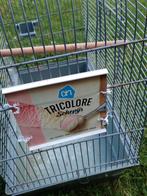 Vogel kooitje, Dieren en Toebehoren, Vogels | Hokken en Kooien, Ophalen, Gebruikt, Metaal, Vogelkooi