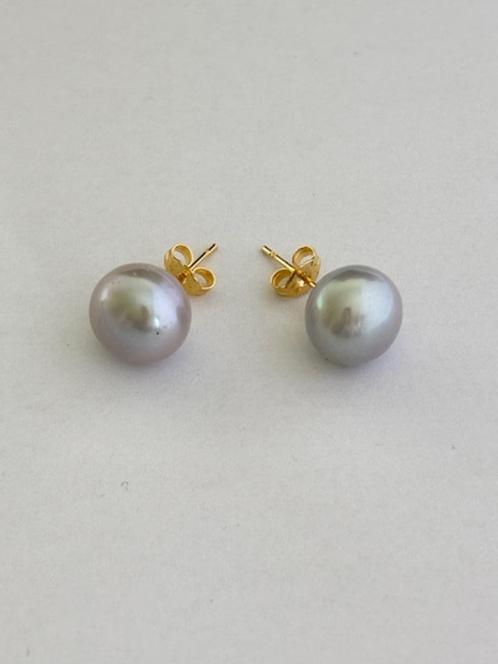 Parel Oorbellen Grijze Akoya Parels, 14K Goud, Sieraden, Tassen en Uiterlijk, Oorbellen, Nieuw, Knopjes of Stekers, Goud, Ophalen of Verzenden