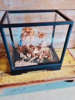 Aziatische kurk diorama groot model, Antiek en Kunst, Kunst | Niet-Westerse kunst, Ophalen of Verzenden