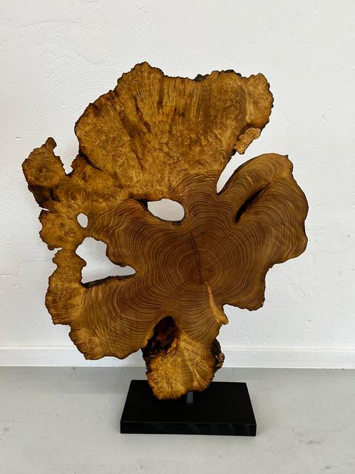 Sculptuur ! Acacia Brul Sculptor, Antiek en Kunst, Kunst | Designobjecten, Ophalen of Verzenden