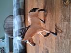 Sleigh paard, Ophalen, Nieuw