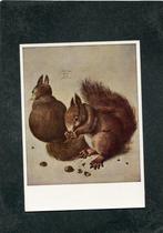 Ansicht Albrecht Durer - Squirrels, Verzenden, Ongelopen