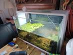 Superfish home 110 aquarium, Dieren en Toebehoren, Vissen | Aquaria en Toebehoren, Ophalen, Zo goed als nieuw, Gevuld zoetwateraquarium