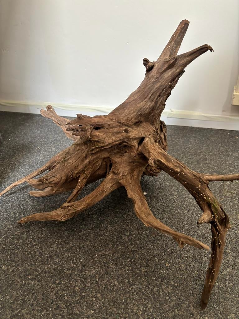 Mooi stuk hout voor aquarium, Dieren en Toebehoren, Vissen | Aquaria en Toebehoren, Ophalen of Verzenden, Gebruikt, Plant(en), Steen of Hout