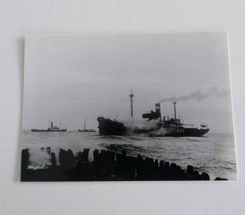 Stranding Nieuwland bij Egmond aan zee.  beschikbaar voor biedingen