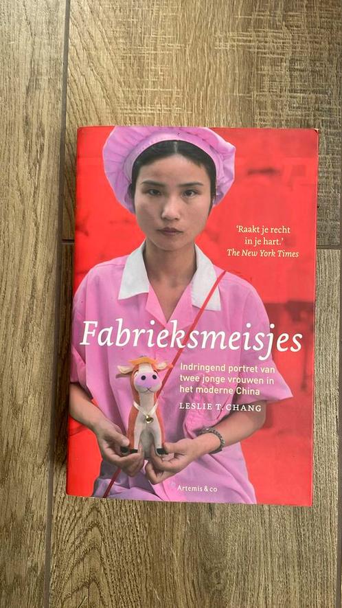 L.T. Chang - Fabrieksmeisjes, Boeken, Literatuur, Zo goed als nieuw, Nederland, Ophalen of Verzenden