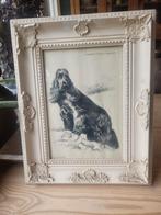 Leuk prent van Engelse cockerspaniel met lijst, Minder dan 50 cm, Gebruikt, Ophalen of Verzenden, Minder dan 50 cm