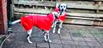HONDEN REGEN DEKJES NIEUW, Dieren en Toebehoren, Ophalen, Zo goed als nieuw