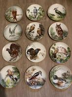 De collectie "Wild Birds of the World, Antiek en Kunst, Antiek | Servies compleet, Ophalen