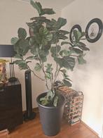 Kunstboom met pot - Ficus, Huis en Inrichting, Kamerplanten, Ficus, 100 tot 150 cm, In pot, Groene kamerplant