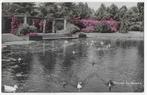 Bussum eendjespark oude gelopen ansichtkaart ( 6434 ), Verzamelen, Ansichtkaarten | Nederland, Ophalen of Verzenden, Voor 1920