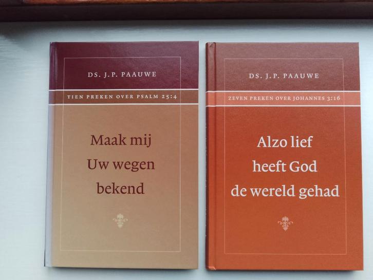 Twee boeken van ds. J.P. Paauwe, Boeken, Godsdienst en Theologie, Zo goed als nieuw, Christendom | Protestants, Ophalen of Verzenden