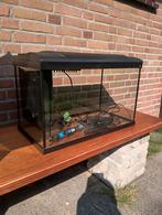 Aquarium 60l, gebruikt, Dieren en Toebehoren, Vissen | Aquaria en Toebehoren, Ophalen of Verzenden