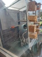 Leuke royale voillere compleet, Dieren en Toebehoren, Vogels | Hokken en Kooien, Ophalen, Zo goed als nieuw, Aluminium, Volière