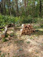 Te koop haardhout, Tuin en Terras, Haardhout, Minder dan 3 m³, Ophalen of Verzenden, Overige houtsoorten, Blokken
