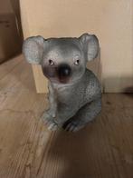 Lief koala beertje, Ophalen of Verzenden, Nieuw, Dier