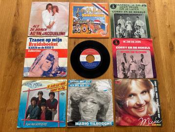 Partij Piraten Singles. beschikbaar voor biedingen