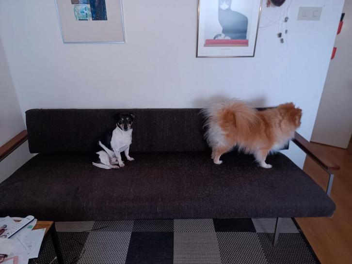 Vintage Martin Visser slaapbank, Huis en Inrichting, Banken | Bankstellen, Gebruikt, Stof, Ophalen of Verzenden