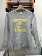 Jumper 'From Future' size S, grey, 100% cashmere, From future, Ophalen of Verzenden, Zo goed als nieuw, Maat 36 (S)