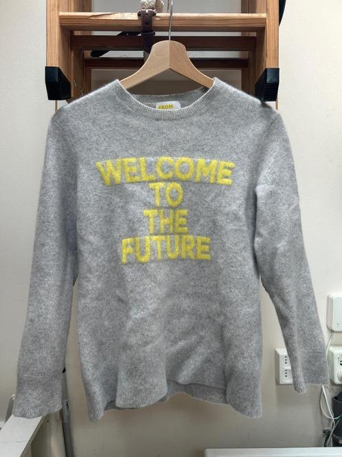 Jumper 'From Future' size S, grey, 100% cashmere, Kleding | Dames, Truien en Vesten, Zo goed als nieuw, Maat 36 (S), Grijs, Ophalen of Verzenden