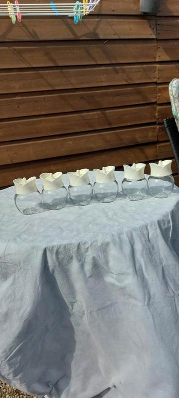 Kruidenpotjes van glas  beschikbaar voor biedingen