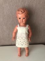 Vintage Schildpad pop 40 cm, Verzamelen, Ophalen of Verzenden, Gebruikt, Pop