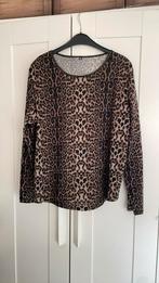 Zacht trui maat 46 xl, Ophalen of Verzenden, Zo goed als nieuw, Maat 46/48 (XL) of groter