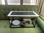 Glazen Terrarium / Aquarium, Dieren en Toebehoren, Reptielen en Amfibieën | Toebehoren, Ophalen, Gebruikt, Terrarium of Paludarium
