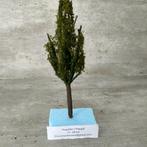 modeltreinen Ho - Scenery Populier hoogte +/ - 17 / 18 cm, Hobby en Vrije tijd, Modeltreinen | H0, Gelijkstroom, Natuur, Nieuw