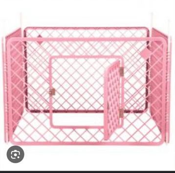 Roze puppy ren  beschikbaar voor biedingen