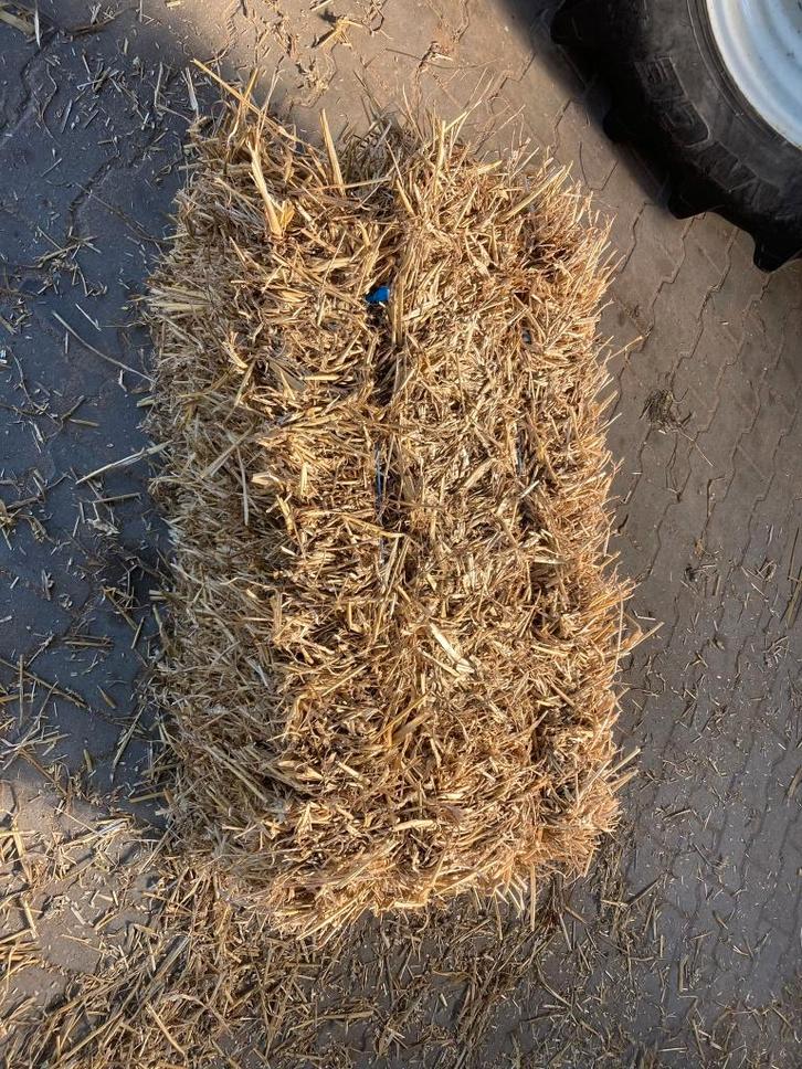 kleine balen tarwe stro balen, Dieren en Toebehoren, Dierenvoeding, Vee, Ophalen
