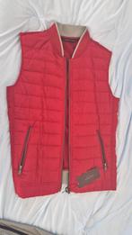 ZARA Bodywarmer M, Ophalen of Verzenden, Nieuw