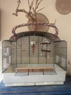 vogelkooi met speelgoed, Dieren en Toebehoren, Vogels | Hokken en Kooien, Ophalen of Verzenden, Zo goed als nieuw, Metaal, Vogelkooi