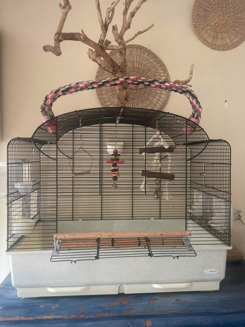 vogelkooi met speelgoed, Dieren en Toebehoren, Vogels | Hokken en Kooien, Zo goed als nieuw, Vogelkooi, Metaal, Ophalen of Verzenden