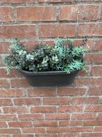 Kunstplantjes met of zonder bloembak voor binnen of buiten!, Ophalen, Kunststof, Binnen, Zo goed als nieuw