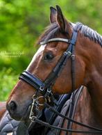 ZGAN Stang en Trens Hoofdstel FULL, Dieren en Toebehoren, Paarden en Pony's | Hoofdstellen en Tuigage, Ophalen of Verzenden, Zo goed als nieuw