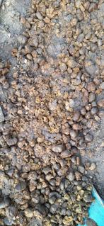 Pure paardenmest, Ophalen, Gebruikt