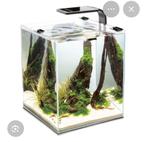 10 liter aquarium gezocht!, Ophalen of Verzenden, Zo goed als nieuw, Leeg aquarium