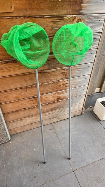 Vissen net  beschikbaar voor biedingen