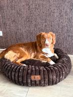 Orthopedische donut hondenmand, Dieren en Toebehoren, Ophalen, Zo goed als nieuw