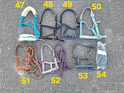 Halster - nieuw  - full - pony - shet, Dieren en Toebehoren, Paarden en Pony's | Overige Paardenspullen, Zo goed als nieuw, Overige soorten