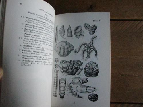Boekje boordevol zwart/wit afbeeldingen van schelpen/fossiel, Hobby en Vrije tijd, Scrapbooking, Zo goed als nieuw, Album of Boek