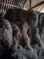 Mooie pakjes hooi, zonder Jacobskruiskruid, Dieren en Toebehoren, Dierenvoeding, Ophalen