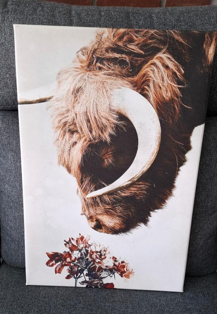 Canvas dier schilderijen, Huis en Inrichting, Woonaccessoires | Schilderijen, Tekeningen en Foto's, Nieuw, Schilderij, 50 tot 75 cm