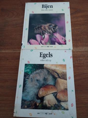 Wapiti boek Bijen  + lieveheersbeestjes  beschikbaar voor biedingen