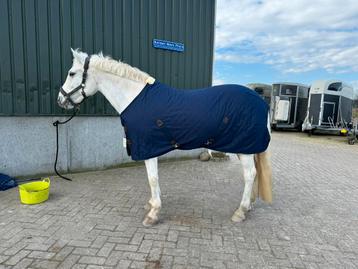 Kentucky stable rug 175 beschikbaar voor biedingen