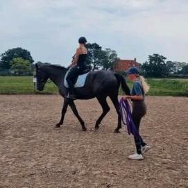 Paardrijden, lease pony paard Dagbesteding & paardencoaching beschikbaar voor biedingen