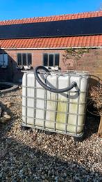 Quarantaine opgroeibak, Karper of Koi